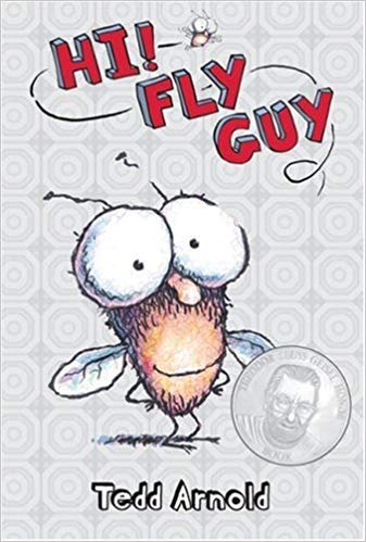 Hi! Fly Guy | James Patterson Kids