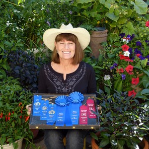 Jodi Torpey